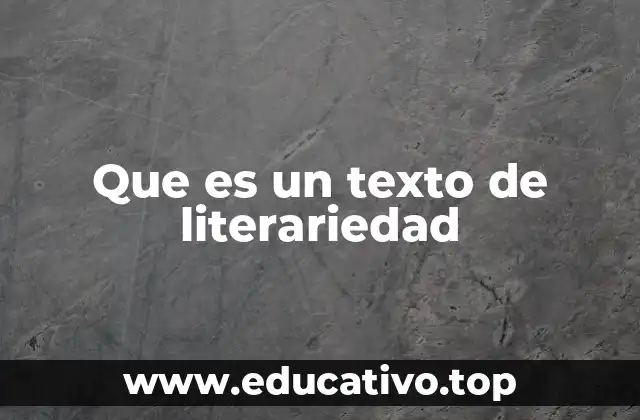 Que es un texto de literariedad