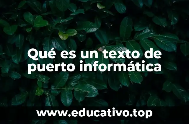 Qué es un texto de puerto informática