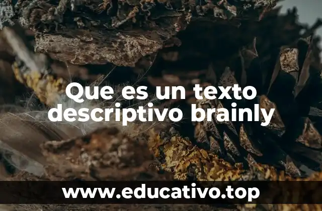Que es un texto descriptivo brainly