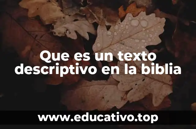 Que es un texto descriptivo en la biblia