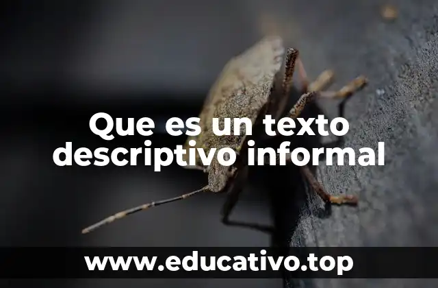 Que es un texto descriptivo informal