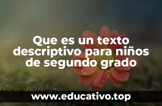 Que es un texto descriptivo para niños de segundo grado