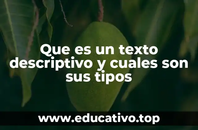 Que es un texto descriptivo y cuales son sus tipos