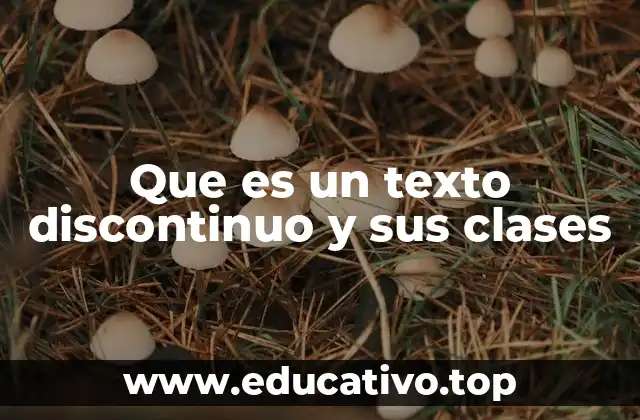 Que es un texto discontinuo y sus clases