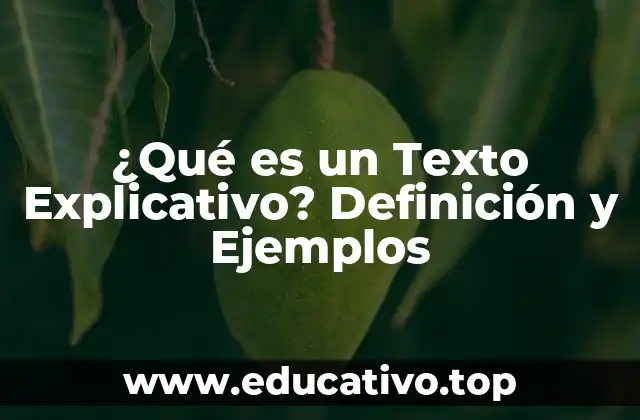 ¿Qué es un Texto Explicativo? Definición y Ejemplos