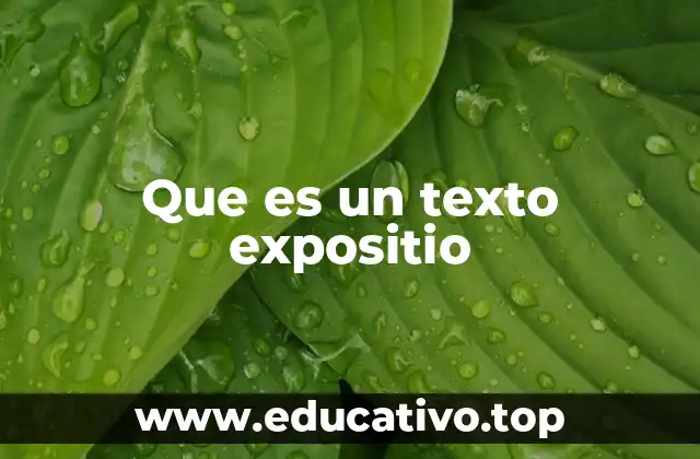 Que es un texto expositio