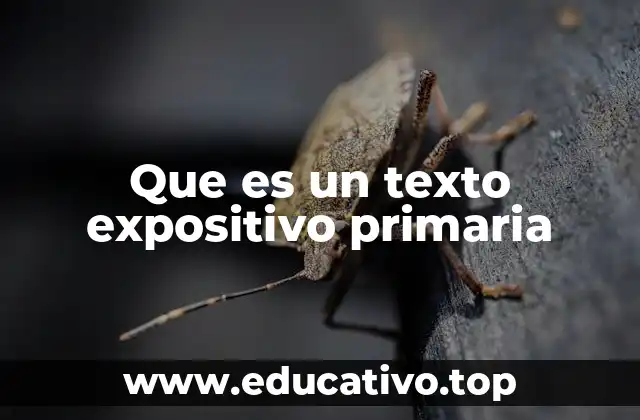 Que es un texto expositivo primaria