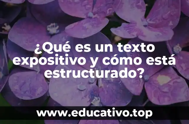 ¿Qué es un texto expositivo y cómo está estructurado?