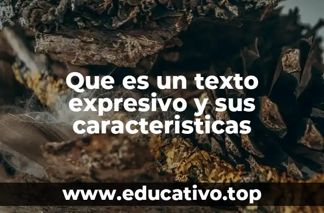 Que es un texto expresivo y sus caracteristicas