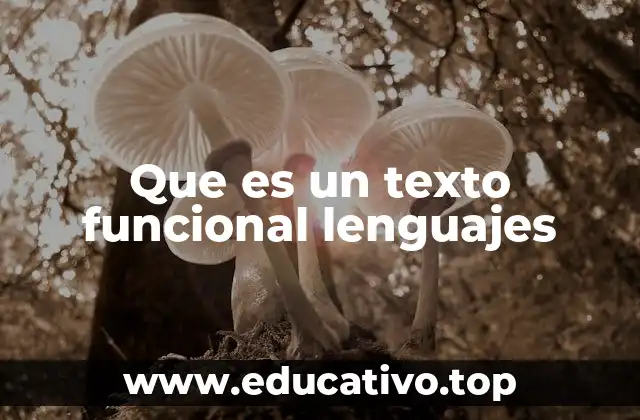 El papel de los textos funcionales en la comunicación eficiente