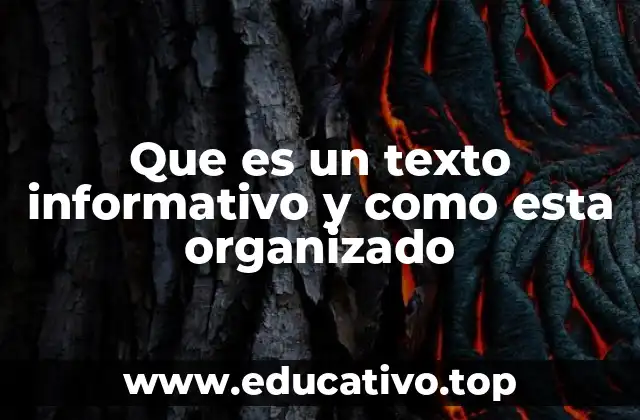 Que es un texto informativo y como esta organizado