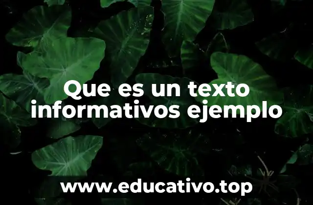 Que es un texto informativos ejemplo