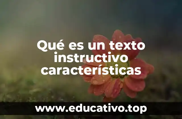 La importancia del texto instructivo en la comunicación