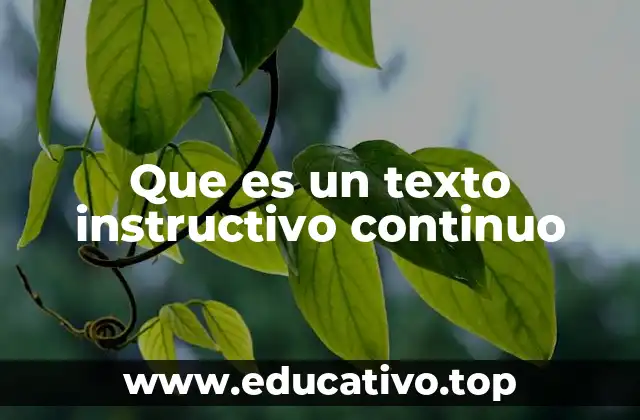 Que es un texto instructivo continuo