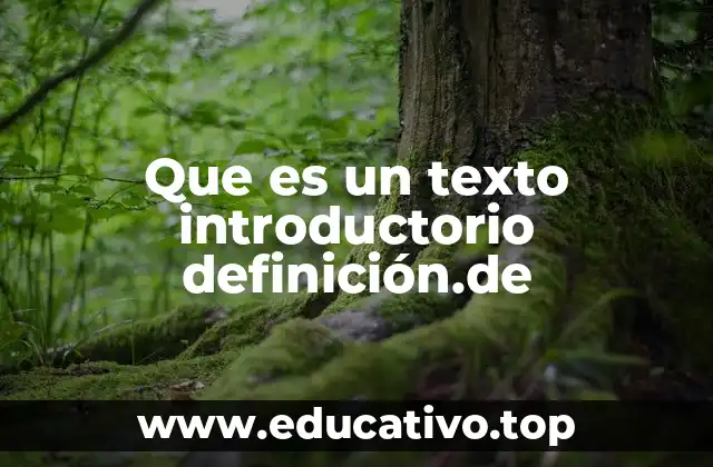 Que es un texto introductorio definición.de