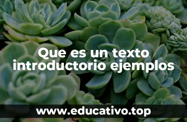Que es un texto introductorio ejemplos