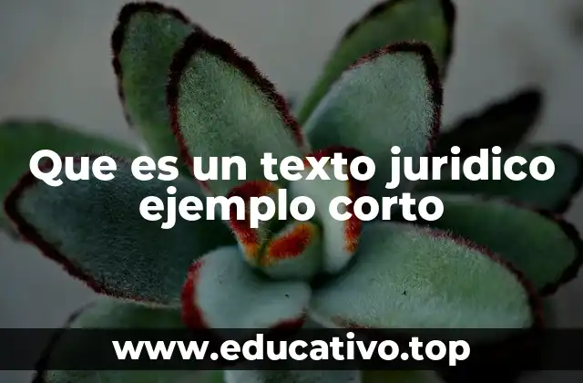 Que es un texto juridico ejemplo corto