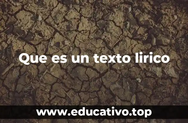 Que es un texto lirico