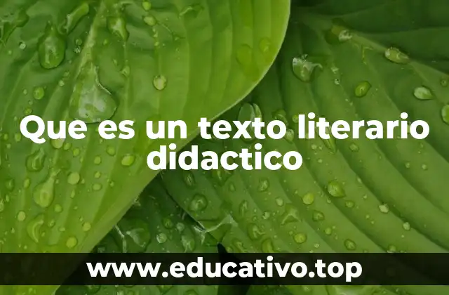 Que es un texto literario didactico