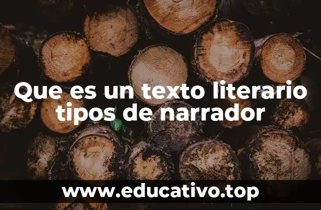 Que es un texto literario tipos de narrador