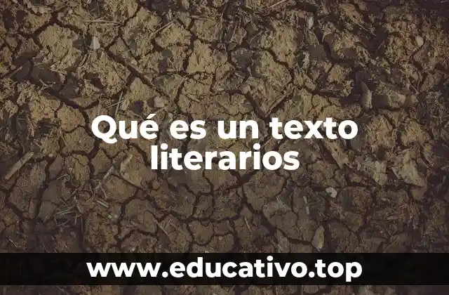 Qué es un texto literarios