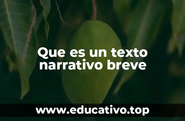 Que es un texto narrativo breve