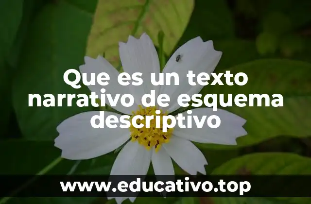 Que es un texto narrativo de esquema descriptivo