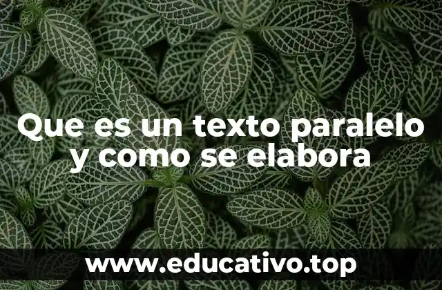 Que es un texto paralelo y como se elabora