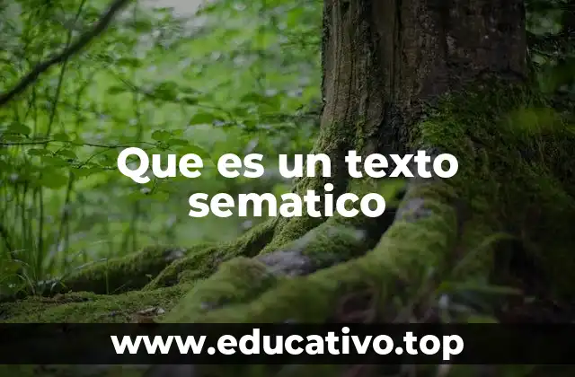 Que es un texto sematico