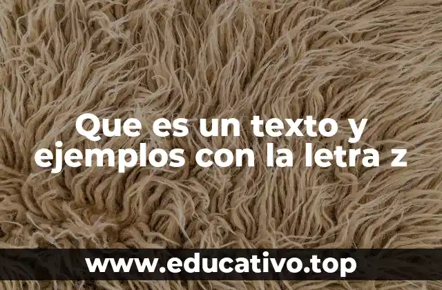 Que es un texto y ejemplos con la letra z
