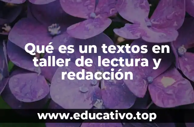 Qué es un textos en taller de lectura y redacción