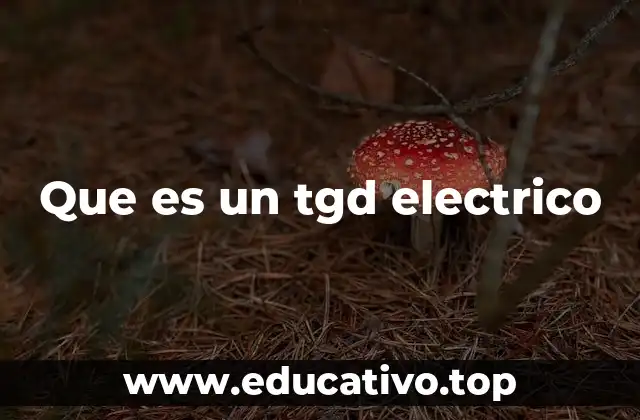 Que es un tgd electrico