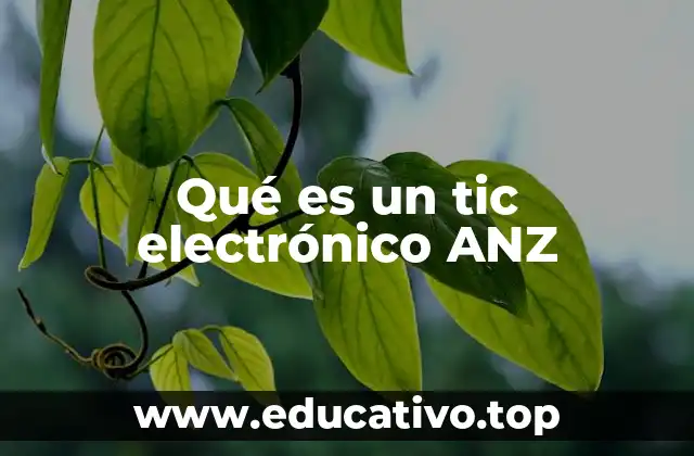 Qué es un tic electrónico ANZ