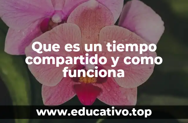 Que es un tiempo compartido y como funciona