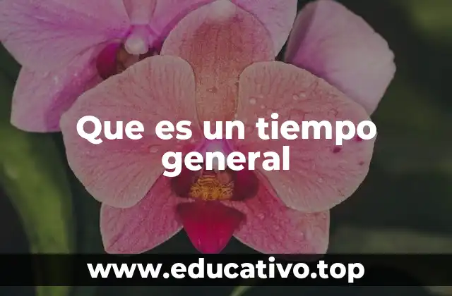 Que es un tiempo general