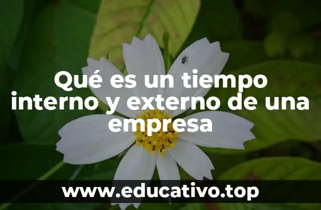 Qué es un tiempo interno y externo de una empresa