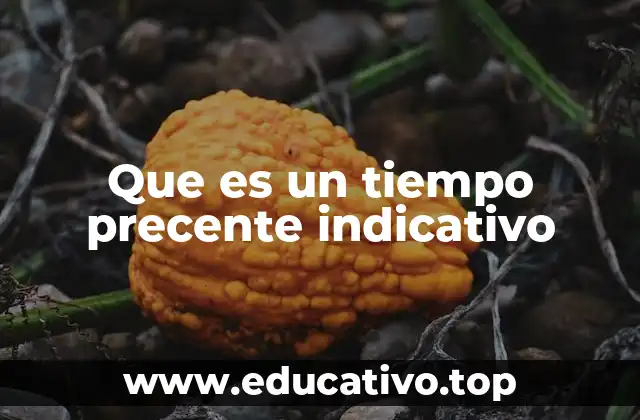 Que es un tiempo precente indicativo