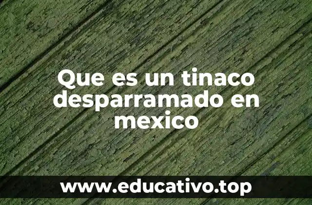 Que es un tinaco desparramado en mexico