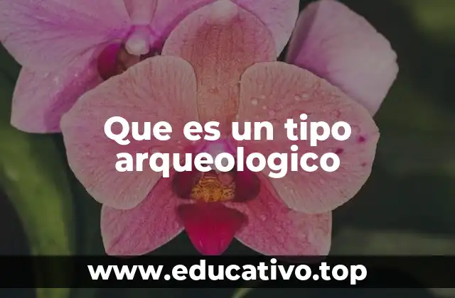 Que es un tipo arqueologico