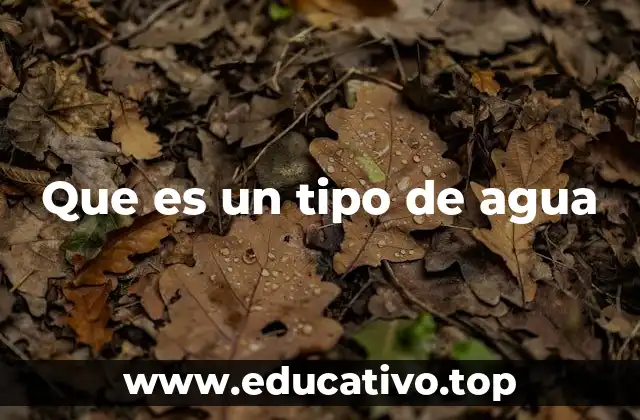 Que es un tipo de agua