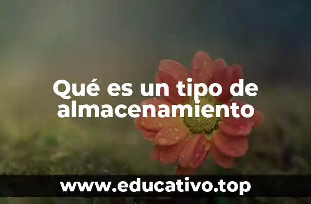 Qué es un tipo de almacenamiento