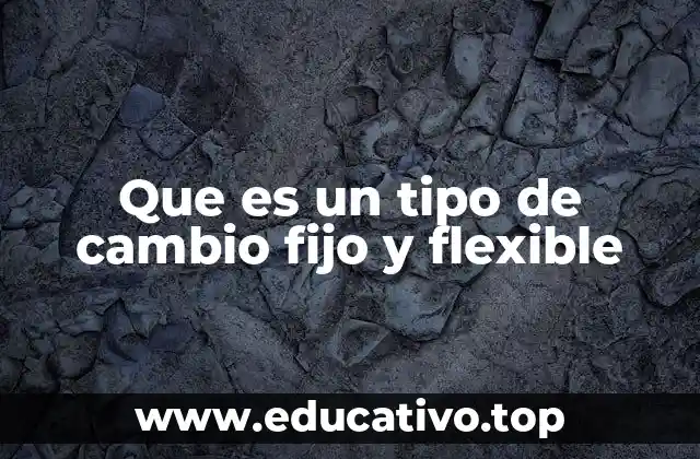 Que es un tipo de cambio fijo y flexible