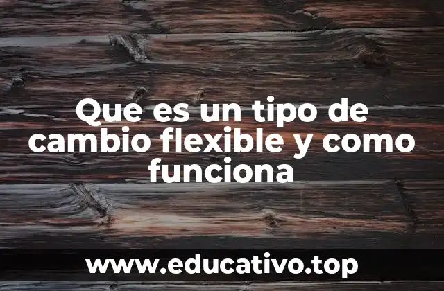 Que es un tipo de cambio flexible y como funciona