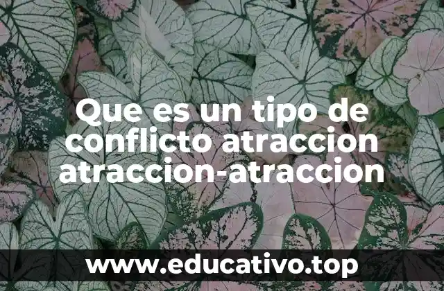 Que es un tipo de conflicto atraccion atraccion-atraccion