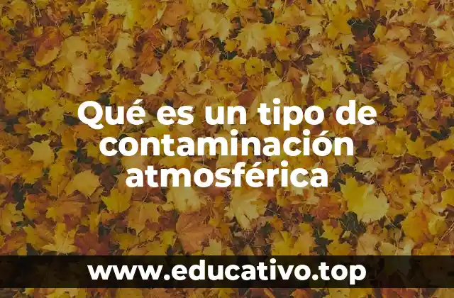 Qué es un tipo de contaminación atmosférica
