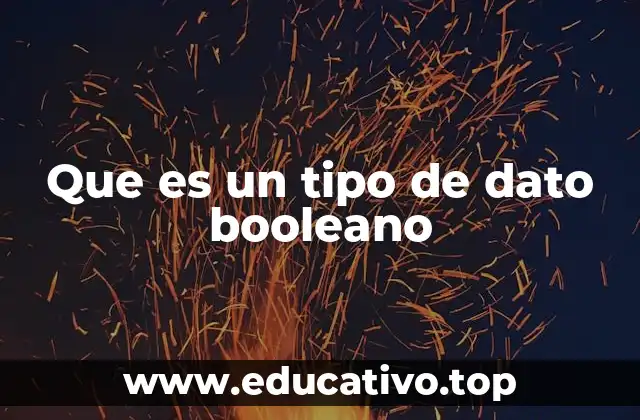 Que es un tipo de dato booleano