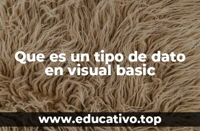 Que es un tipo de dato en visual basic