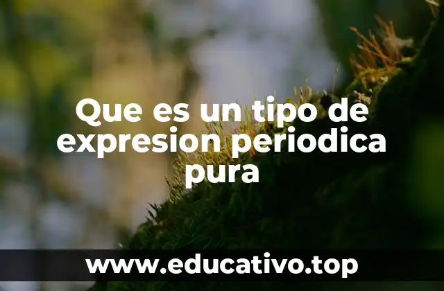Que es un tipo de expresion periodica pura