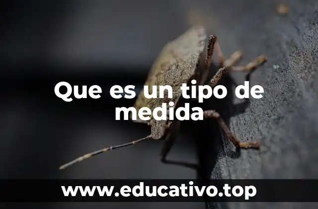 Que es un tipo de medida