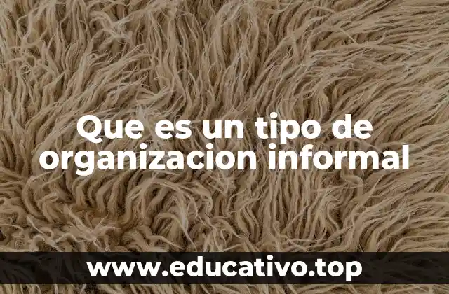 Que es un tipo de organizacion informal